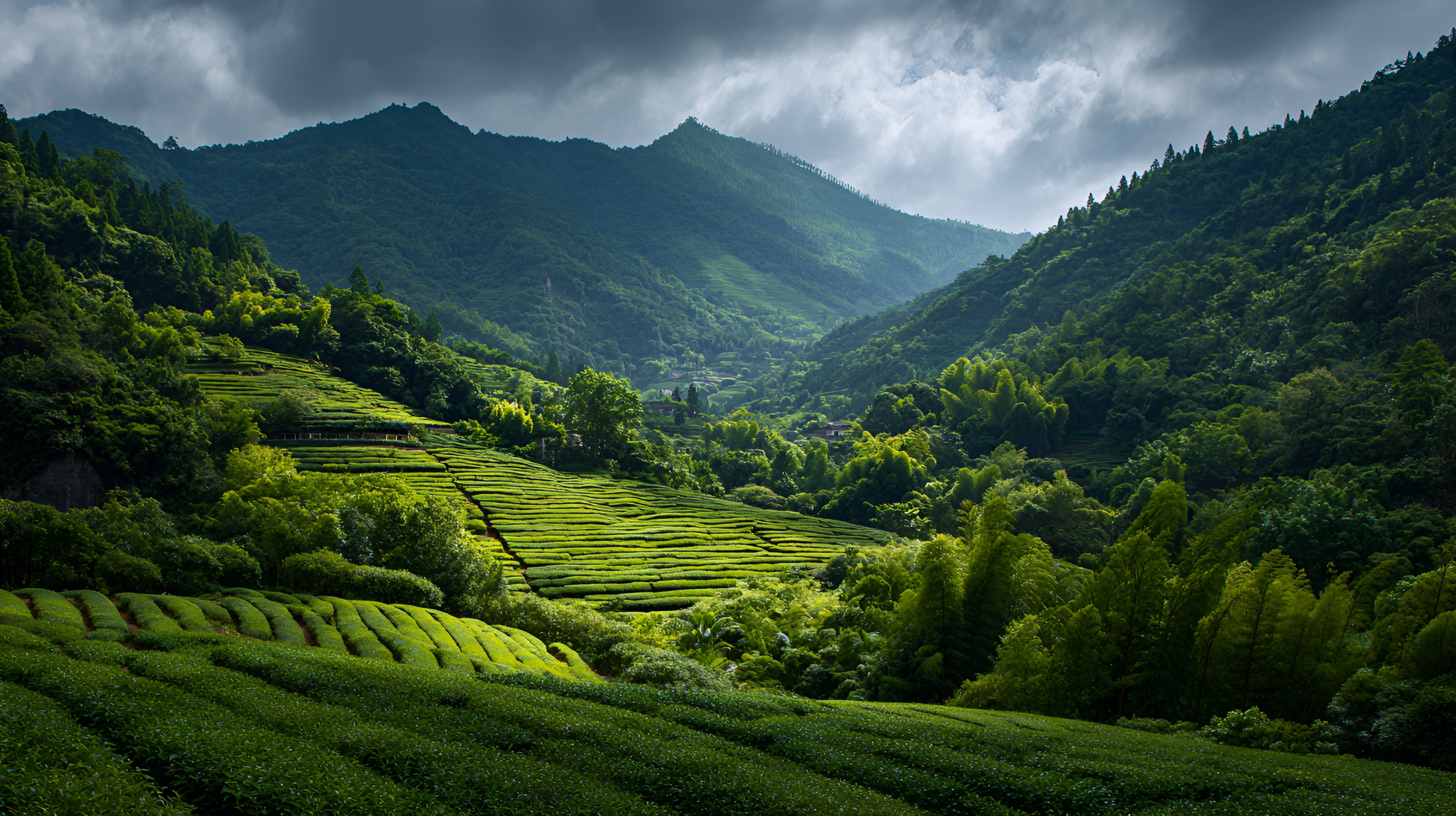 Hong Kong Monetary Authority Announces Further Optimisation Measures for the Green and Sustainable Finance Grant Scheme